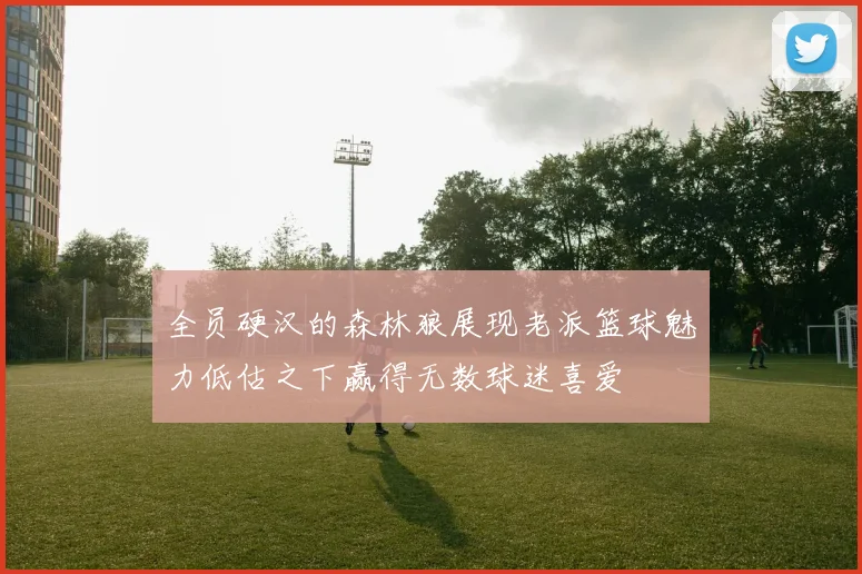 全员硬汉的森林狼展现老派篮球魅力低估之下赢得无数球迷喜爱