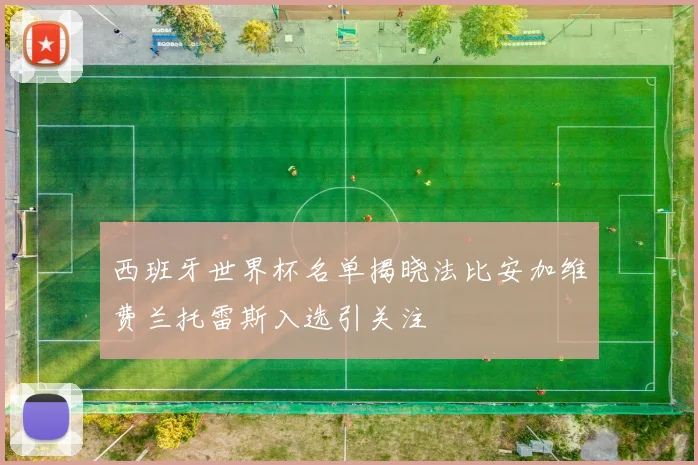 西班牙世界杯名单揭晓法比安加维费兰托雷斯入选引关注